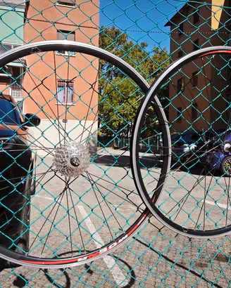 Ruote Ambrosio Moena Pignone Campagnolo 10 v