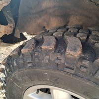 Gomme extreme forest 