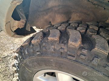 Gomme extreme forest 