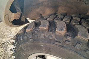 Gomme extreme forest 