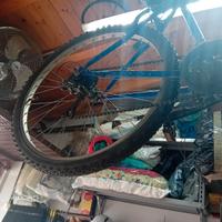 Bicicletta ragazzo/uomo