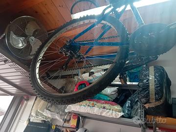 Bicicletta ragazzo/uomo