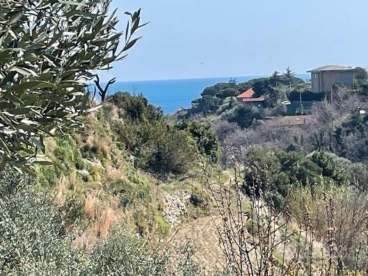 Terreno a fasce - Vista 5
