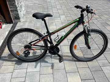 Bicicletta