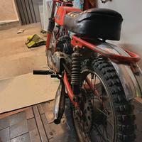 motori