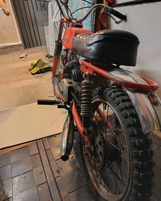 motori