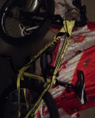 bici Carnielli