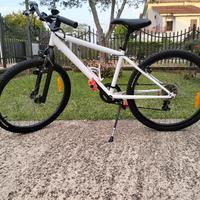 MTB Bambino 24