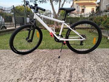 MTB Bambino 24