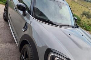 Strepit Mini Countryman limited edition Northwood