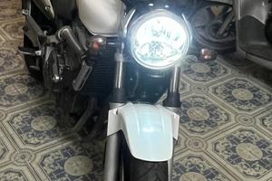 HORNET 600