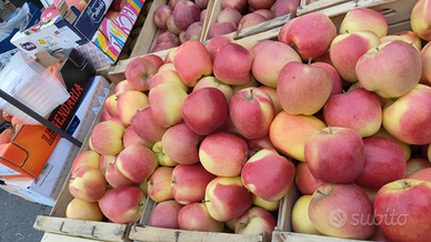 Posteggio licenza ambulante