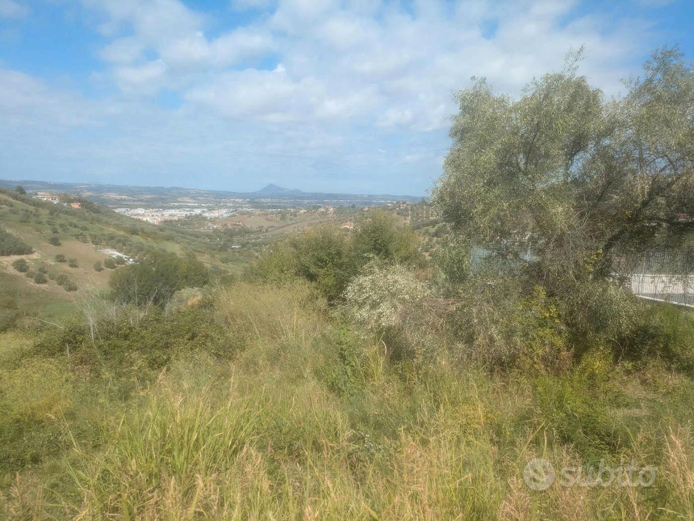 Terreno Agricolo Monterotondo - Vista 3