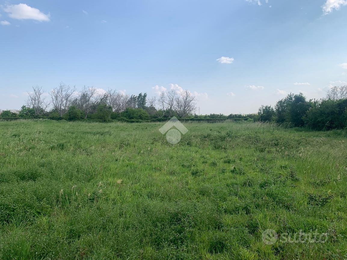 TER. AGRICOLO A CASERTA - Vista 4