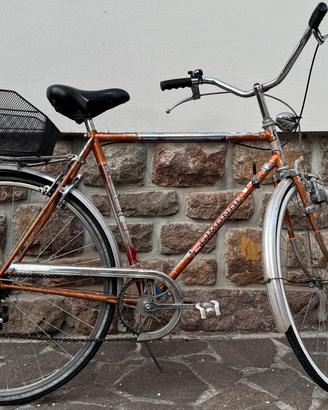 Bicicletta storica Gimondi