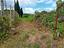 Immagine 23