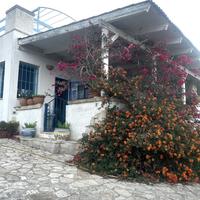 Villette vista mare immerse nella natura salentina