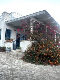 Villette vista mare immerse nella natura salentina