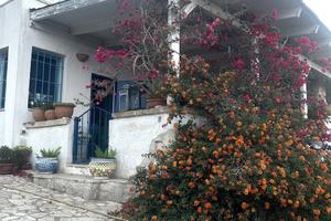 Villette vista mare immerse nella natura salentina