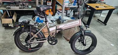 Fat E-Bike pedalata assisitita
