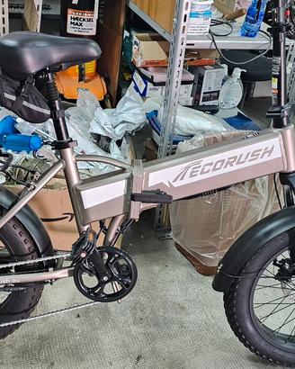 Fat E-Bike pedalata assisitita