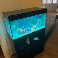 Acquario Askoll pure xl Led