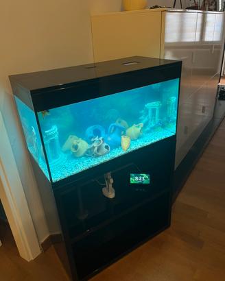 Acquario Askoll pure xl Led