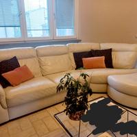 Divano Divani e Divani Natuzzi 