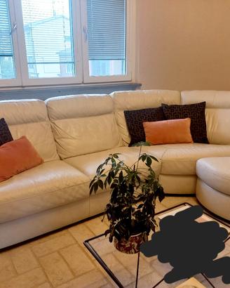 Divano Divani e Divani Natuzzi