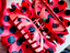 Immagine 4