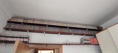 Diabolik costola bianca 