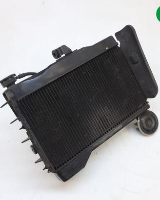 Radiatore acqua YAMAHA MT 07