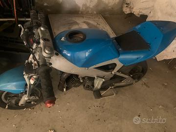 Minimoto polini 910