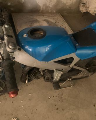 Minimoto polini 910