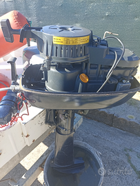 Motore fuoribordo 6cv