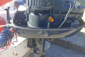 Motore fuoribordo 6cv