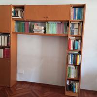 Parete/ Libreria