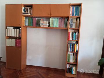 Parete/ Libreria