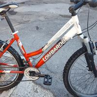 Montabike lombardo 