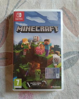 Minecraft x Nintendo Switch