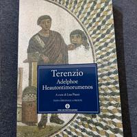 Libro per latino al liceo