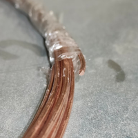 Filo Rame al 99.9% 10 metri 2mm diametro