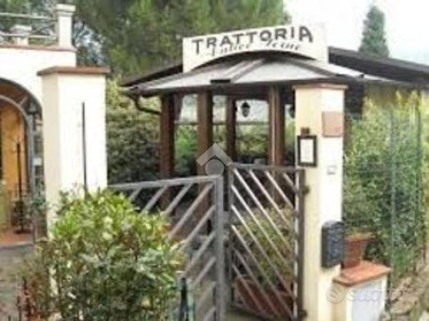 ATTIVITÀ A BAGNO A RIPOLI