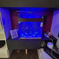 Acquario juwel 120 litri