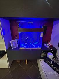 Acquario juwel 120 litri