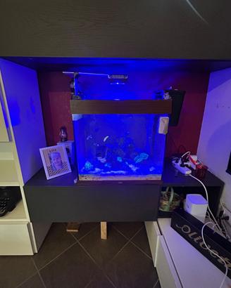 Acquario juwel 120 litri