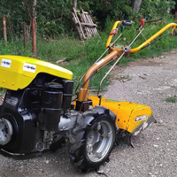 Motocoltivatore grillo 10 cv motozappa
