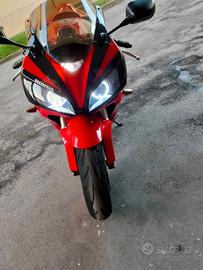 Faro Angel Eyes per CBR 1000 rr