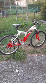Mtb taglia m