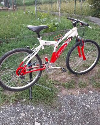 Mtb taglia m